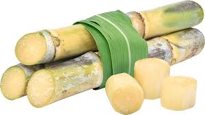 sugarcane 2.jpg